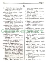 Vidyapuri Odia-English Abhidhana By Sarbeswar Dash